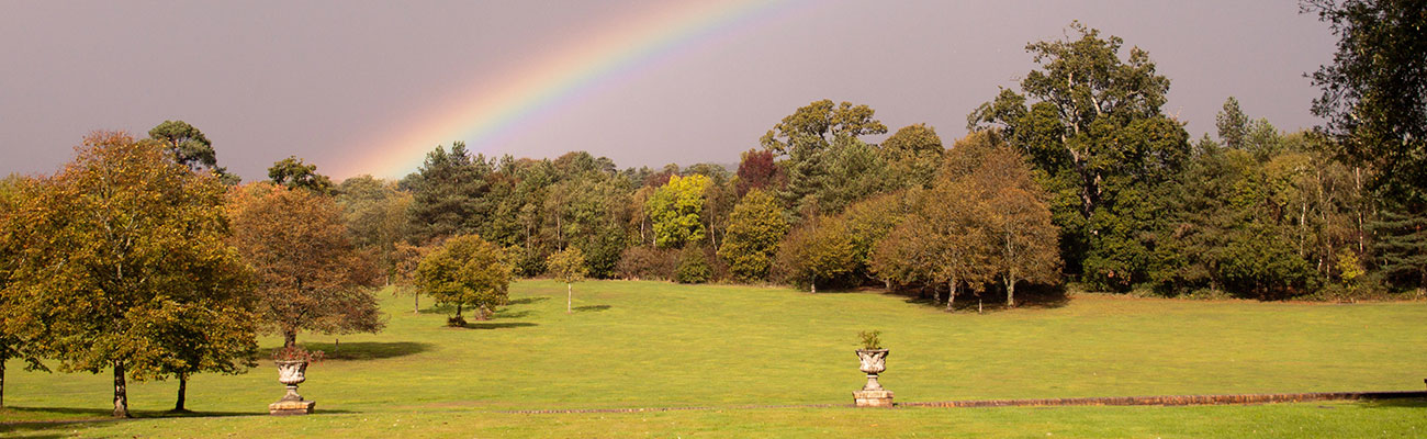 Beautiful Life in Paradise