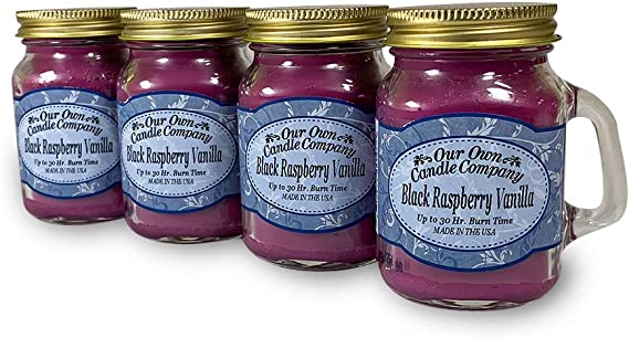 Our Own Candle Company Black Raspberry Vanilla Scented 