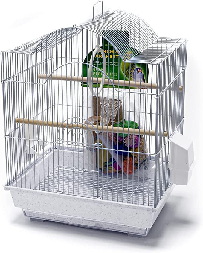 PENN-PLAX Small Bird Starter Kit with Birdcage and Accessories 