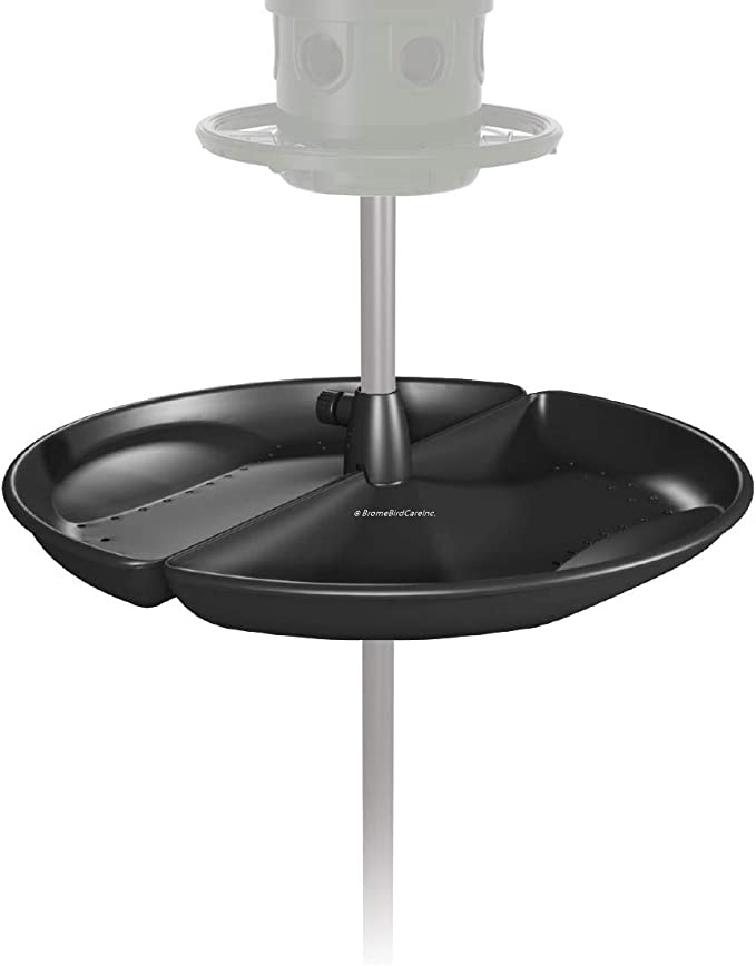 Product Thumb