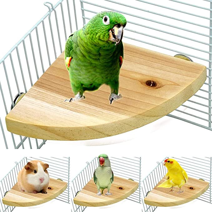 Bird Perch Platform Stand，Wood Perch Bird Platform Parrot 