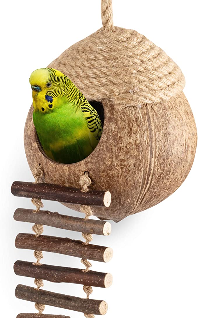 andwe Coconut Bird Nest Hut with Ladder 