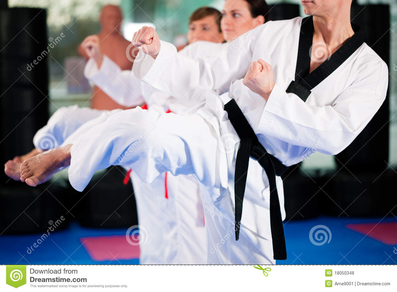 Accelerated Martial Arts