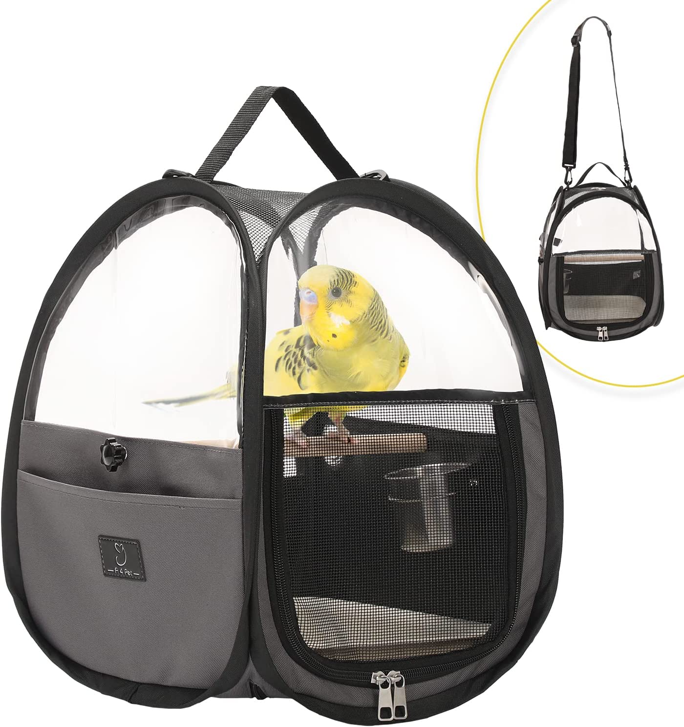 Birds LOVE 3