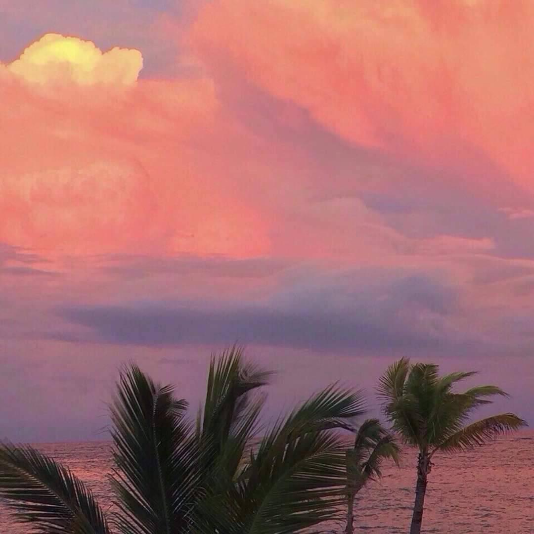 Paradise sunset tour